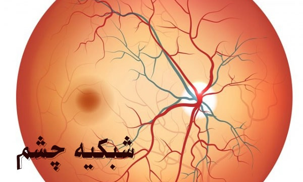 کلیه اعمال شبکیه چشم به زودی در اراک انجام می شود